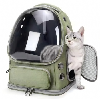 Cat Bubble Backpack